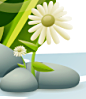 [pebbles_and_flowers[4].png]