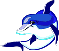 Dolphin_22
