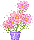 0441.png