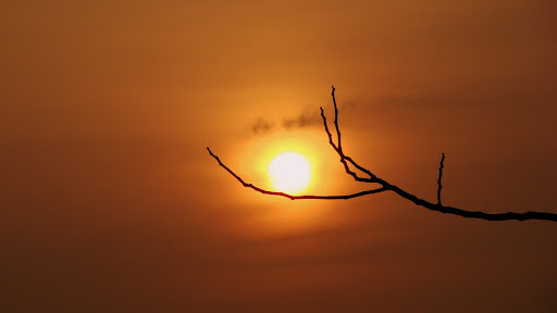 День танкиста