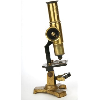 [microscopio2[3].jpg]