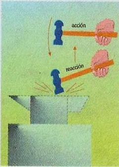 [leyaccionreaccion4.jpg]