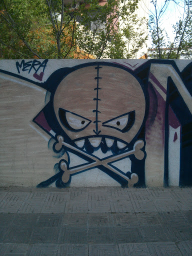 Graffitti Skull