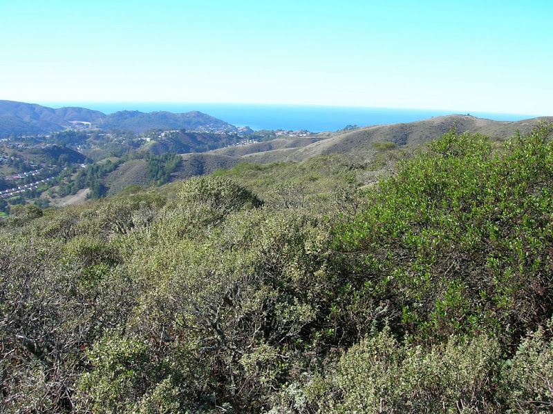 Ridge Trail Service Day – Sweeney Ridge – Leor Pantilat's Adventures