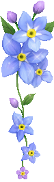 dns28.gif