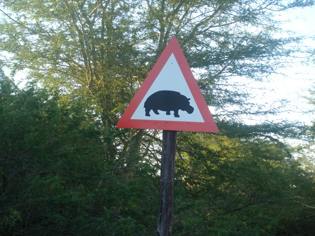 [Hippo Sign[3].jpg]