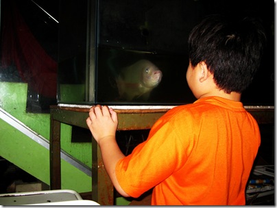 Picture 022