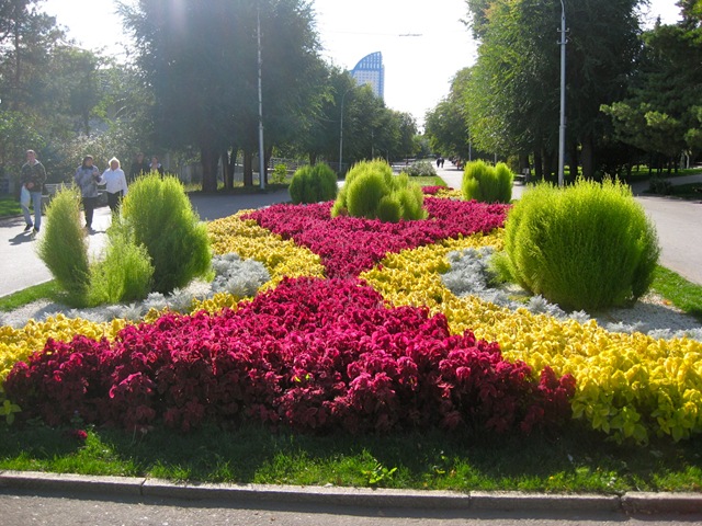 [IMG_18604.jpg]