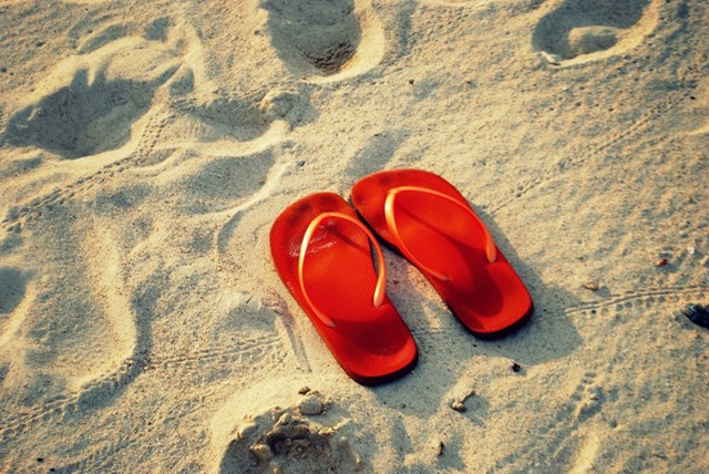 [Flip_flops_forever___by_LeXiElOvE125.jpg]