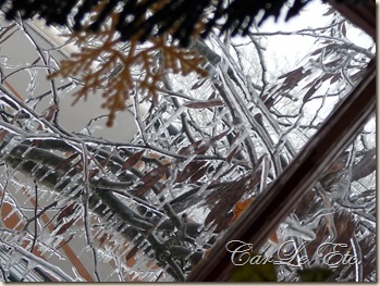icy morning 006