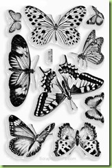 Stampendous Perfectly Clear Butterfly stamp set