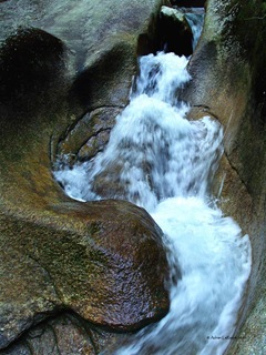 Water_Flow Water_Flow