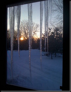 icicles 2010 008