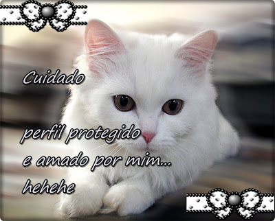 koizinhas%20meigas2.jpg