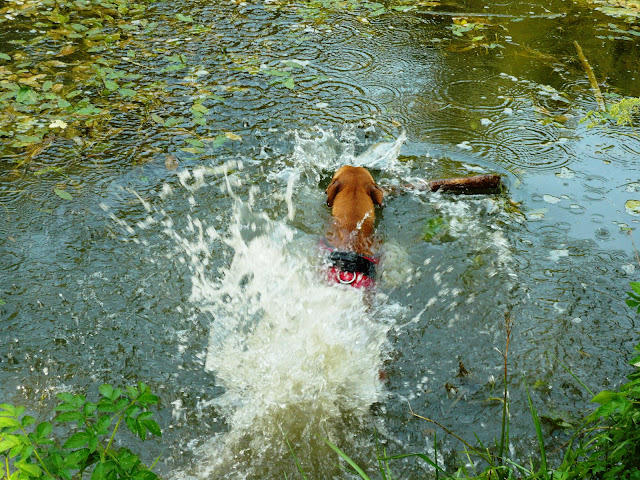 P1000155.JPG