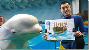 Lukisan Unik Ikan Paus Putih Bertujuan Tersebut Bernama Xiao Qiang