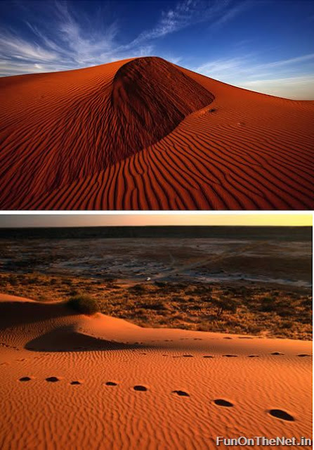 Captivating Deserts