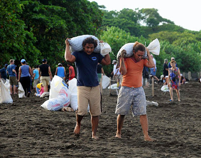 Men Carrying Sacks Filled With Turtles Eggs