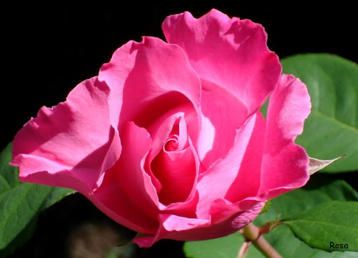 DSC05035.JPG