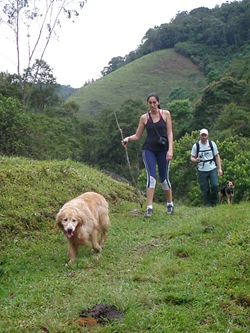 Dogs Trekking 3 (150)