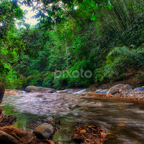 River by Dak Debab Photoholic - Landscapes Forests