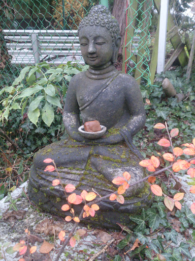 Buddha Figur Im Hinterhof