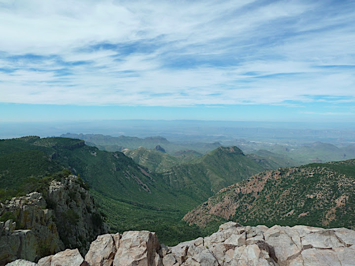 View from Emory Peak
