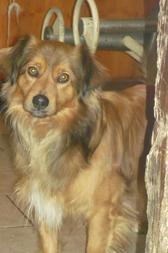 csib%C3%A9sz%20%C3%A9s%20rudolf%20004.JPG