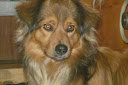 csib%C3%A9sz%20%C3%A9s%20rudolf%20002.JPG