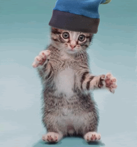 22.gif