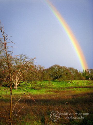 [2010-02-26-rainbow-001-web-mark[4].jpg]