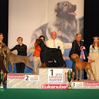 CELJE EUROPEAN DOG SHOW-SLOVENIA-2010-10-01e.jpg
