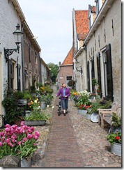 Lane of Flowers