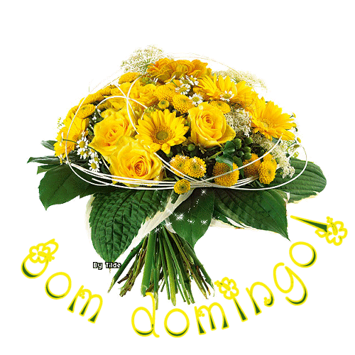 bomdomingo.png