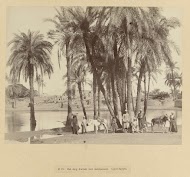 Oase met dadelpalmen bij Karnak