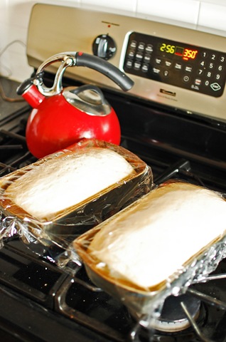 [baking bread 6[5].jpg]
