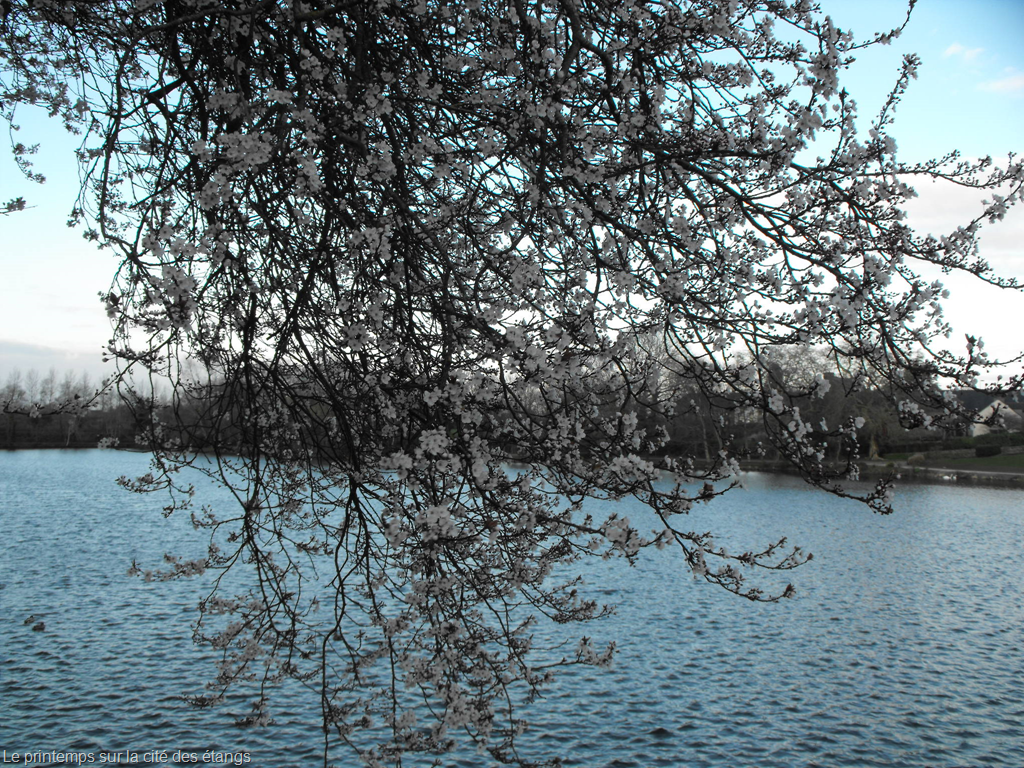 [image22.png]