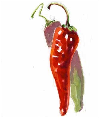 [peppers sm[3].jpg]