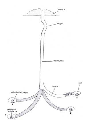 [nest [2].jpg]