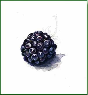 [blackberry 2[6].jpg]