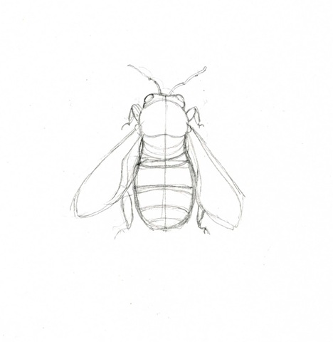 [sketch 1.jpg]