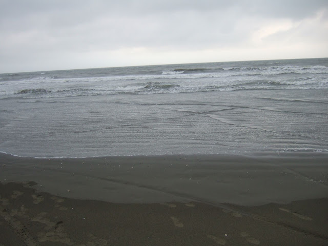 海