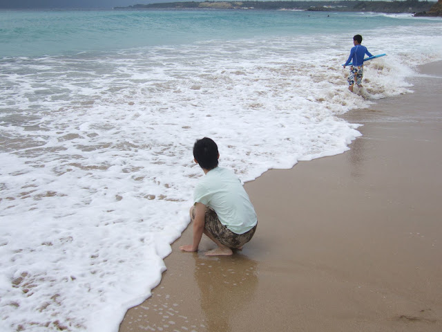 看到海很興奮