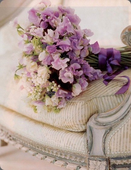 sweet-peas beauutiful blooms