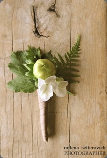 DSC_4134 Camelback Flowershop