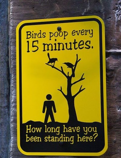 birds-poop-sign
