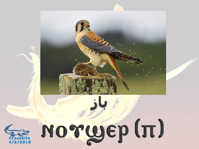الطيور باللغــــــة القبطيــــ†ــــة بالصور