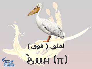 الطيور باللغــــــة القبطيــــ†ــــة بالصور