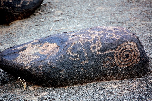 [DSC_0222 - Copy[4].jpg]