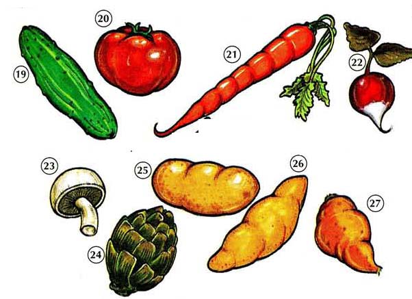 VEGETABLES 3 Vegetables food
